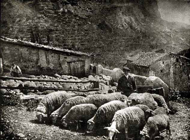 Castañares de las Cuevas Viguera La Rioja 1910 Ortiz Echagüe